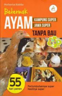 BETERNAK AYAM KAMPUNG SUPER AYAM JAWA SUPER TANPA BAU